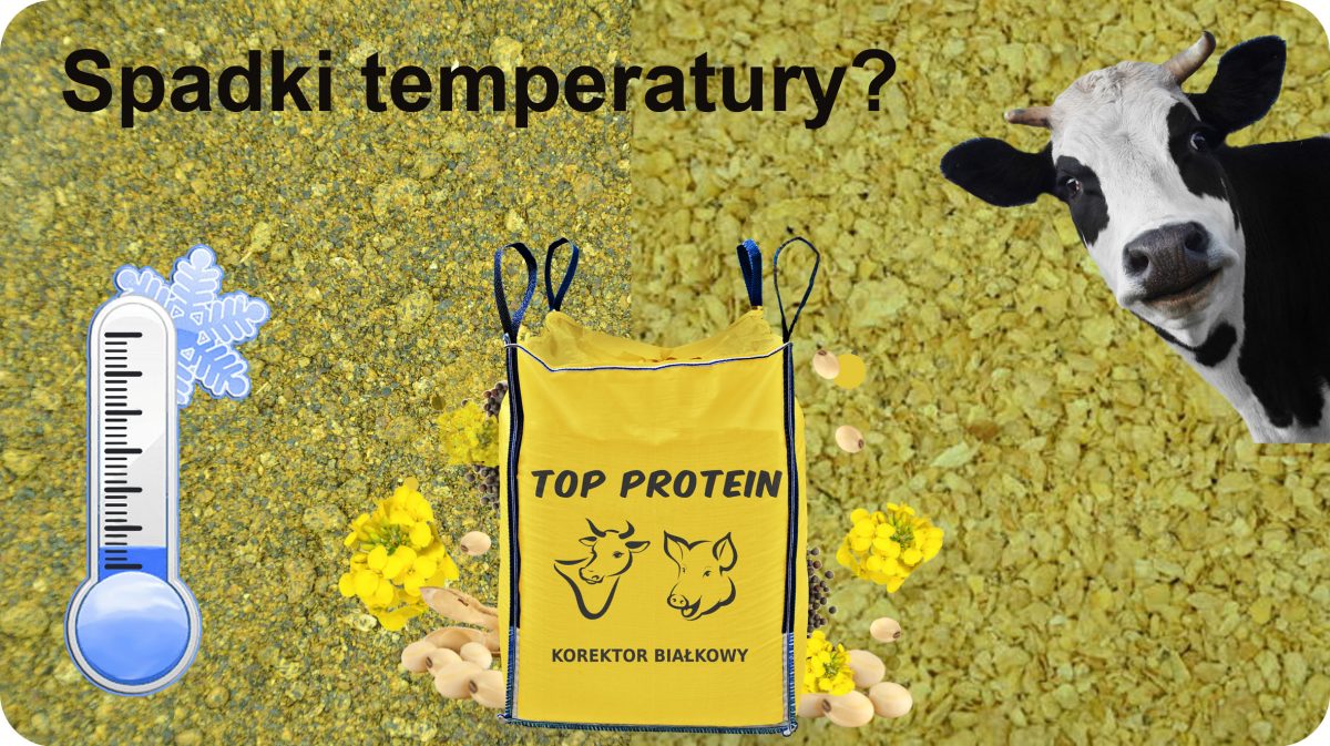 Temperatura