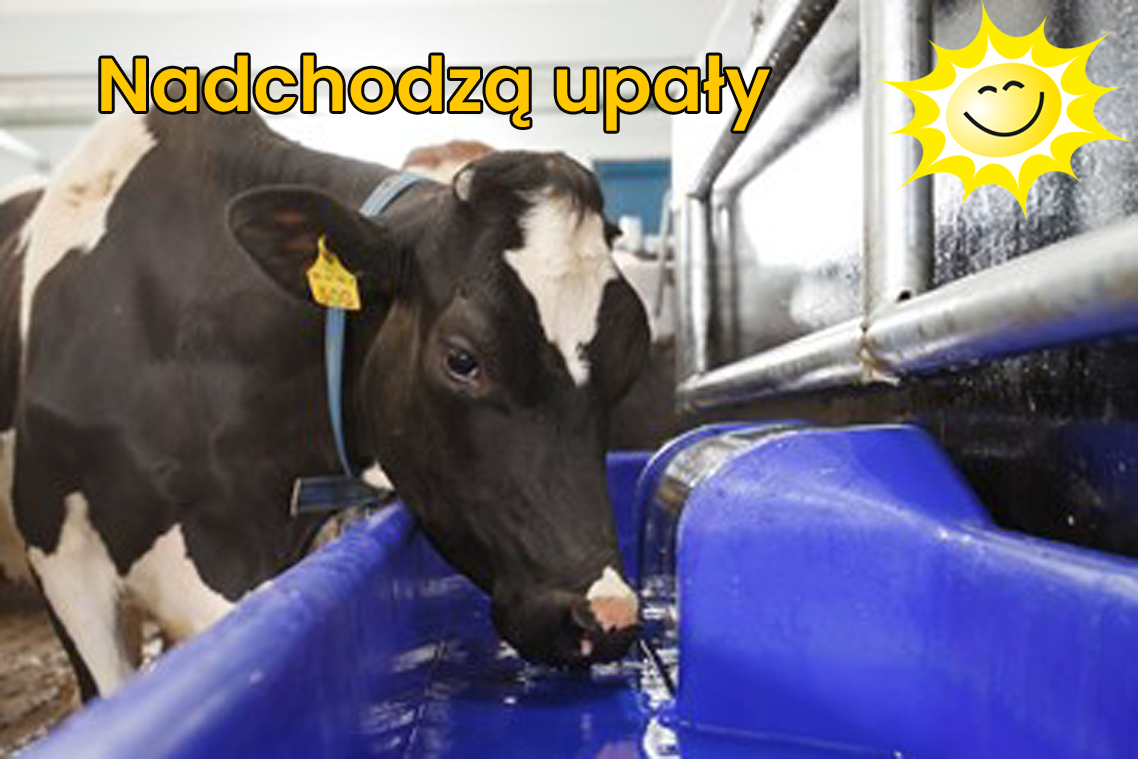 Nadchodzą wysokie temperatury